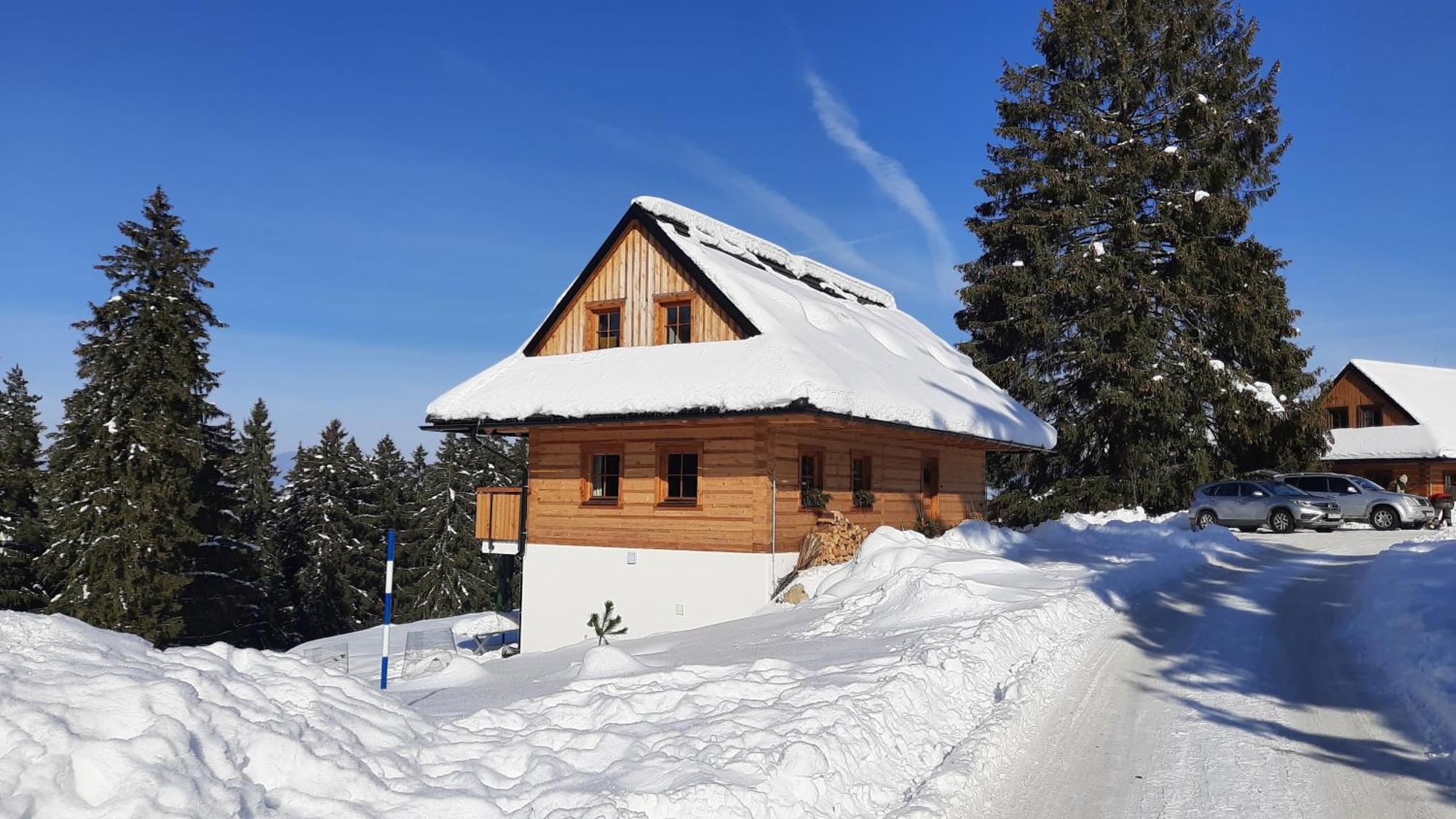 Villa Drevenica Pod Demaenovskou Horou Demänovská Dolina Exterior foto